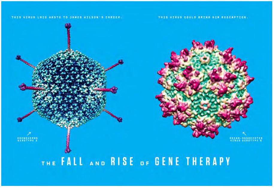 Are risks with gene therapy real or hypothetical?