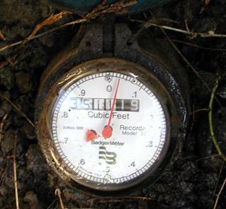 Your primary objective in this regard is to look for leaks. Open the valve meter box when you arrive for maintenance and watch the meter for a few moments. There is a low flow indicator on the meter.