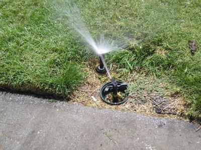 It is not unusual to find irrigation valves with spray and rotor type