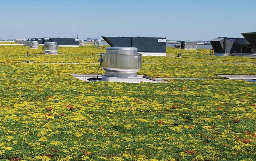 In addition to being environmentally responsible, vegetated green roofs like the Sika Sarnafil system pictured are believed to have therapeutic value in a healthcare setting.