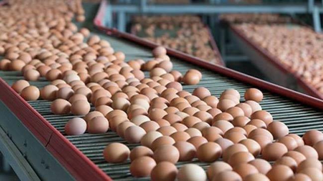 Turkey s crop production increased 5 UPCOMING EVENTS 1-4 February 2018 Agro-expo, Izmir Turkish egg producers started to export to a number of European countries where productions slumped due to