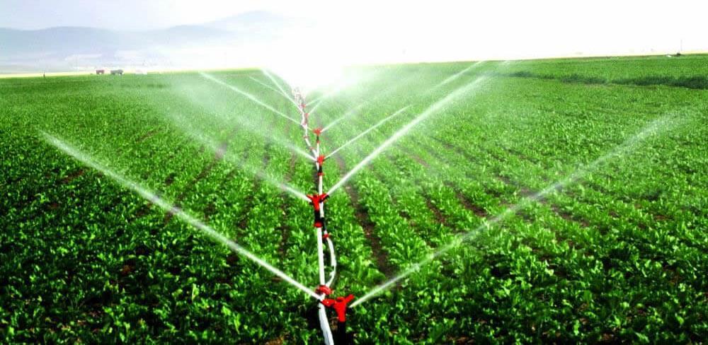Subsidies being offered for individual irrigation machinery and equipment The Ministry of Food Agriculture and Livestock (MinFAL) announced subsidy on the purchase of individiual irrigation machinery