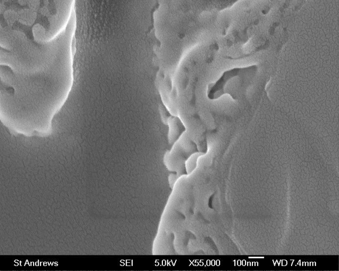 On the other hand, the particles of Unitec 2- m powder with a narrow particles size distribution band around 1 m are well dispersed, giving porous