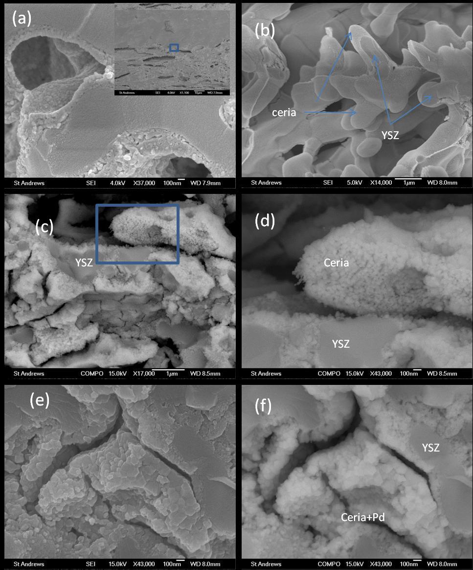 Chapter 5 5.3.2 Microstructure after testing Figure 29 SEM image of of (a) LSF/YSZ electrode and (b) ceria coating on YSZ before testing.
