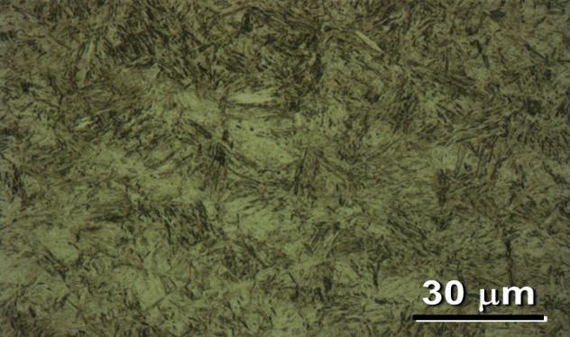 martensitic microstructure with a small amount of bainite (Figs. 3). Quenching with hot oil led to an ultimate strength of up to 2200 MPa and an elongation of approximately 12 %.