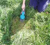 32 Managing your Grass Continuous measurement of farm cover is essential and it is important to react to prevailing grass growth and weather conditions.