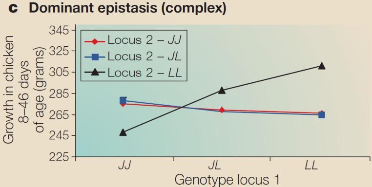 Epistasis definitions Biologi