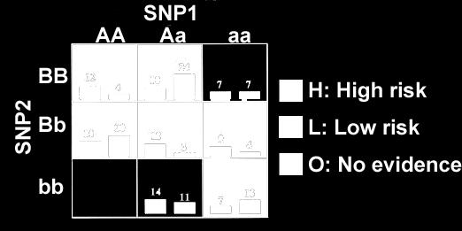 pairs of SNPs (j = 1 m).