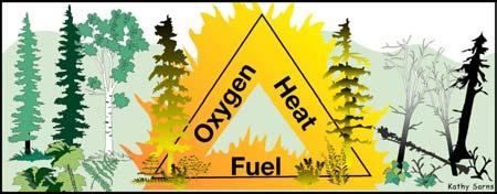 flow of oxygen by throwing dirt on the fire, using a fire extinguisher, or dropping fire retardant from planes. The fuel supply could be removed by building a fire line around the fire.