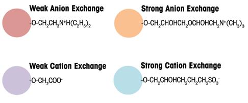 PureSpeed for Ion Exchange Ion Exchange Chromatography Principles Four types of ion exchange resins are commercially available: strong anion, strong cation, weak anion and weak cation exchange resins