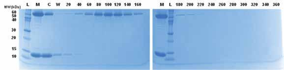 exchange tips are capable in separating chemical species such as oligonucleotides, and likely peptides.