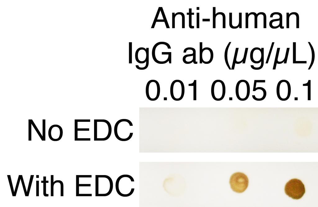 5. Put the tray or vials on a rocking plate and incubate for 30 minutes at room temperature 6. Add calculated amount of human IgG-conjugated particles to reach the final concentration of OD 0.2 7.