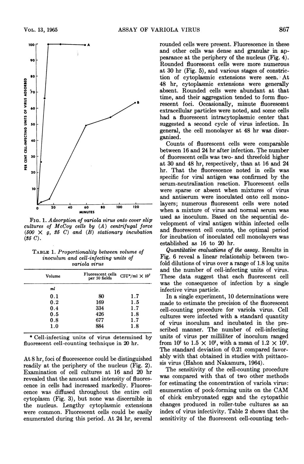 VOL. 13, 1965 ASSAY OF VARIOLA VIRUS 9 so 'o '7 > 6o z z 9- z 3 2 4 6 8 1 12 MINUTES FIG. 1. Adsorption of variola virus onto cover slip cultures of McCoy cells by (A) centrifugal force (5 X g, 25 C) and (B) stationary incubation (35 C).