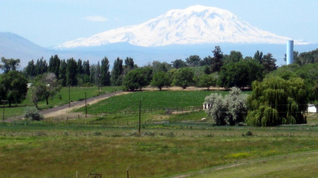 PROFILE OF SMALL FARMS IN WASHINGTON STATE 2015 Update By Dr.