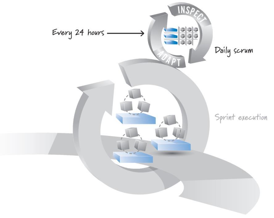 Sprint Execution: Rules of Daily Scrum 1. The daily scrum is an inspection, synchronization, and adaptive daily planning activity that helps a self-organizing team do its job better. 2.