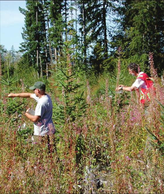GENERAL TECHNICAL REPORT PSW-GTR-240 Figure 1 Locations of Sitka spruce screening trials on the west coast of North America.