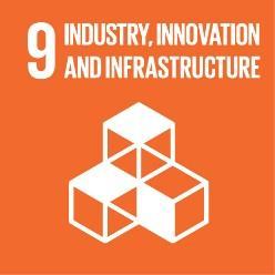 INDUSTRY, INNOVATION AND INFRASTRUCTURE Build resilient infrastructure, promote inclusive and sustainable industrialisation and foster innovation Case Study: The