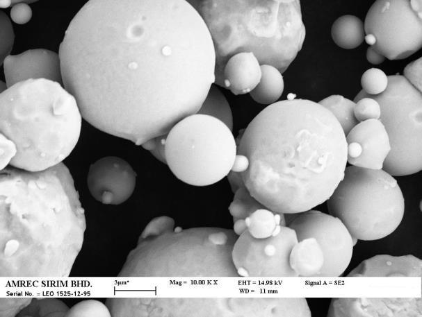 Rosniza Rabilah Results and Discussion Physical Properties Figure 1: SEM analysis of M2 HSS powder Shrinkage The results showed that the lowest shrinkage was about 10% which was observed at the
