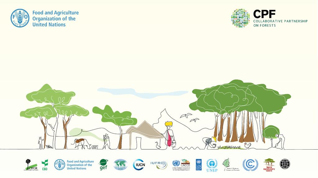 International Conference Working Across Sectors to Halt Deforestation and