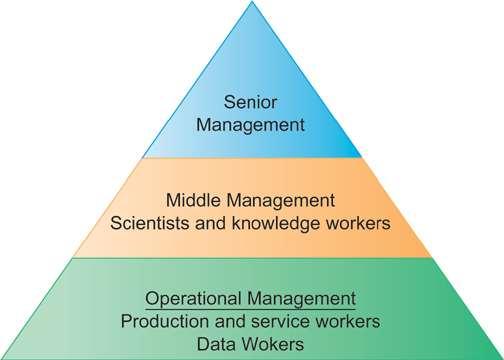 Organizational dimension of IS structure: different levels and specialties hierarchy of authority, responsibility: Senior Middle Operational management, Knowledge service Data workers business
