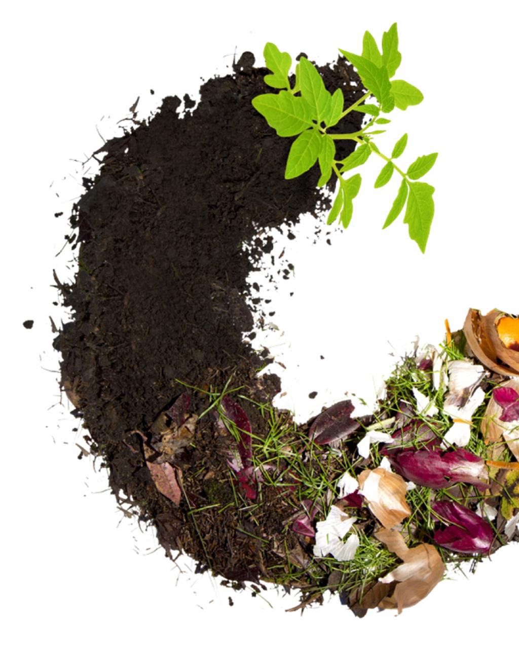 Residential Compost Program Review Key considerations