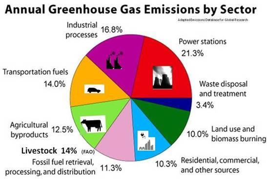 Figure 2 2 Sector wise Green Gas Emission b) Country s rising energy needs, proportional to Gross Domestic Product (GDP) growth.