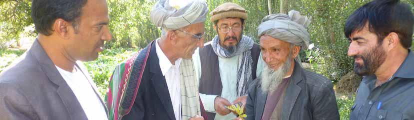 Afghanistan Partners Plant Protection and Quarantine Directorate (PPQD), Ministry of Agriculture, Irrigation and Livestock (MAIL) NRO; also manages clinic data and provides diagnostic support