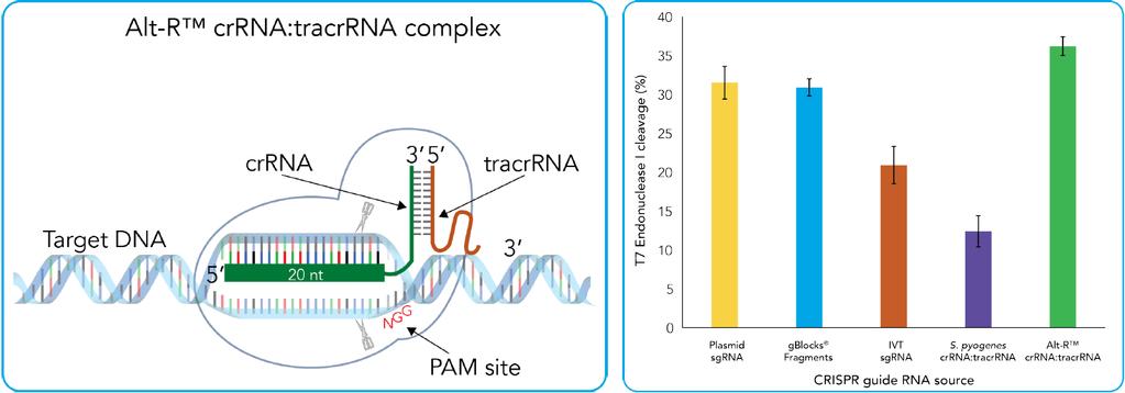 Complexed RNA