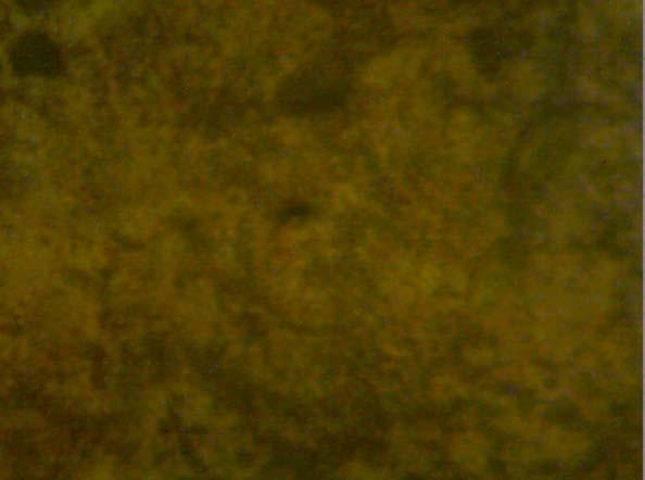 the alloys also Figure 8: Micrograph of Cu 15% Zn alloy (X400) Figure 6: