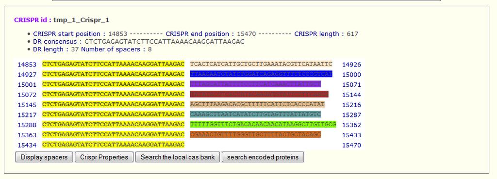 The common repeat sequence in the CRISPR array found on this DNA fragment is shown in yellow on the left. The different spacer sequences of the CRISPR array are multicolored to the left.