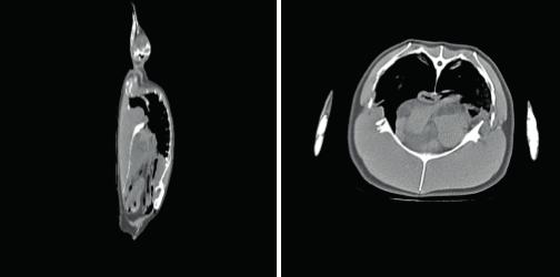 Examples of other possible work incorporating CT