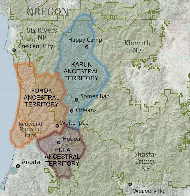The Yurok-Hupa- Karuk IPBN Vision: When our work is successful, life will be thriving with deer, birds, mushrooms, open prairies, grasslands and clear creeks. There is laughing.