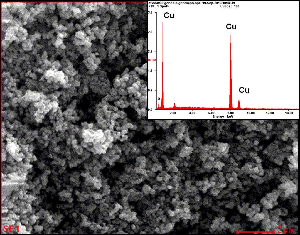 Fig. S5 HRSEM image of as-synthesized Cu