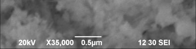 In addition, few large particles of 100 nm were also found. Fig. 4 SEM images of Ag Cu alloy nanoparticles synthesized 3.