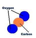 Where is carbon found