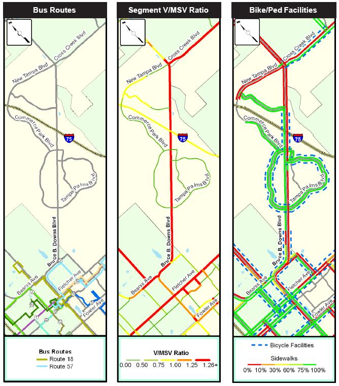 Visualization in the CMP Side-by-side Displays of Multimodal Information Hillsborough County MPO