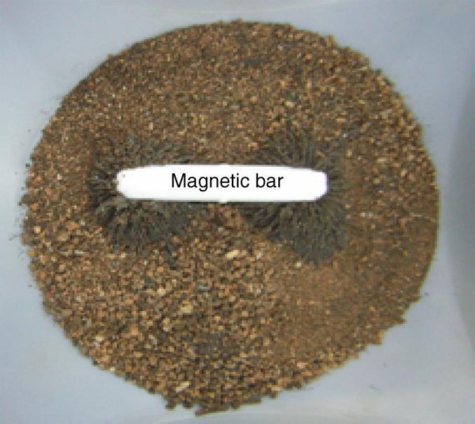 Fig. 1. Photo of DC soils: magnetic separation of magnetite. such as ph, organic content, particle density, and uniformity coefficient (D60/D10) were measured by Methods of Soil Analysis (Page et al.