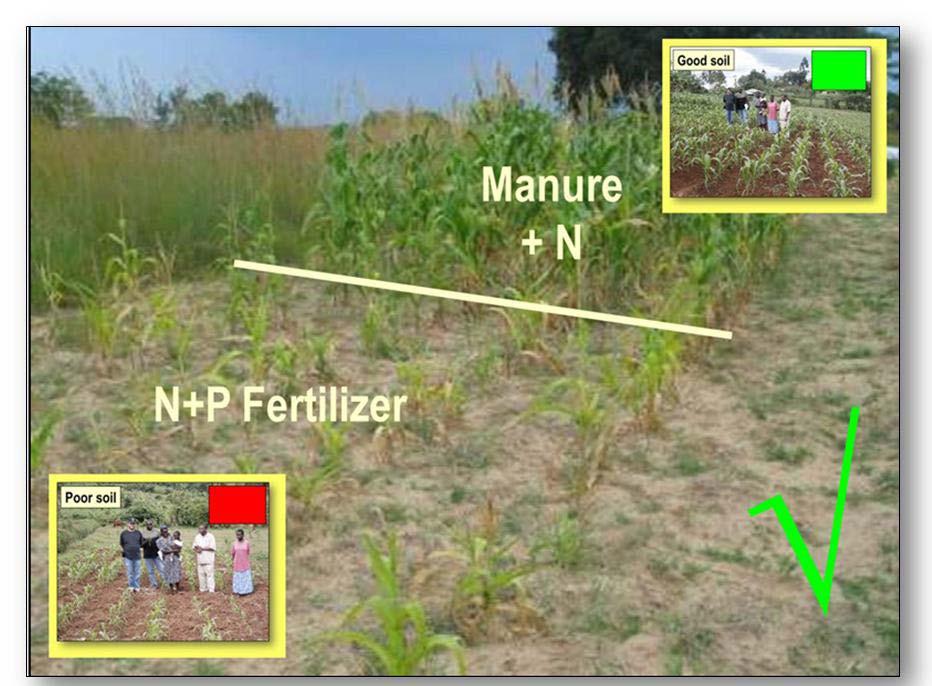 Non-responsive soils Occurrence: Non-responsive soils appear to