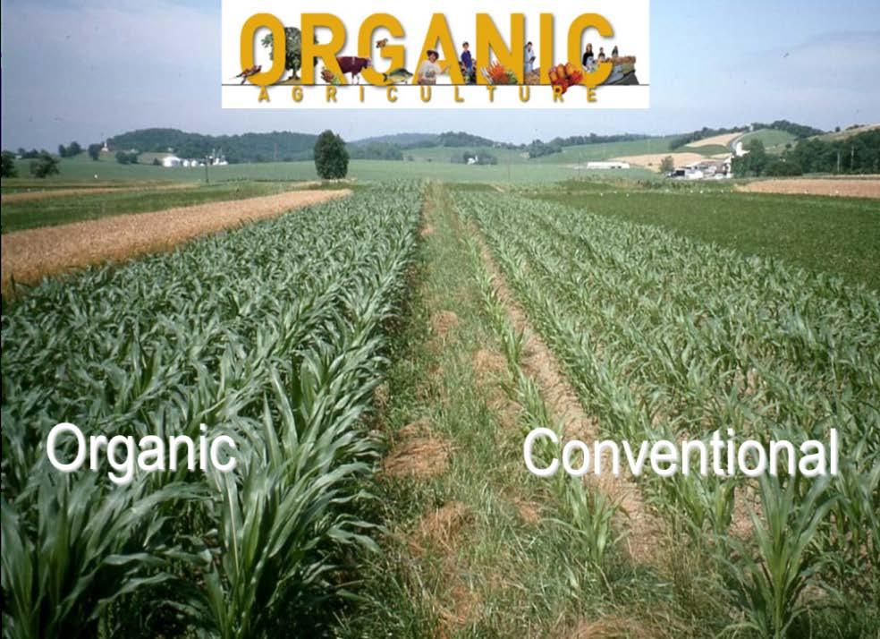 Organic agriculture is constrained by organic inputs; OK for niche markets N: Some BNF Low use efficiency!