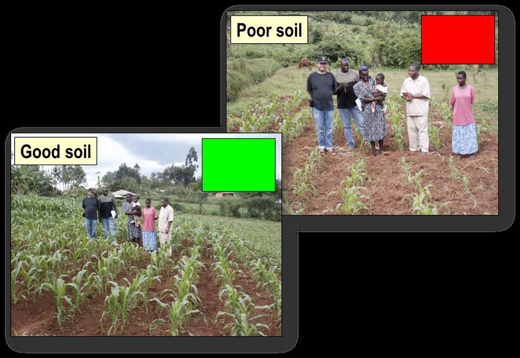 Variability in soil fertility Same farm Same