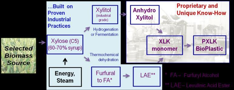 C5 Technology Platform and Value Chain Functional Food - Xylose - Dietary health benefit for control of postprandial hyperglycemia and diabetes prevention - Xylitol - Low caloric