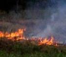farmers Burning of crop residues in Congo May 2013 Over 23% of total carbon released