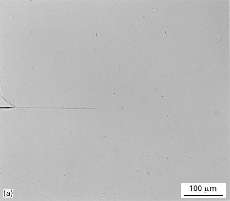 Figure 5 Optical micrograph of a thin section taken mid-plane and near the crack tip of a DN-4PB sample of DER332/DDS/PES (15%), viewed in (a) bright-field and (b) cross-polarized light.