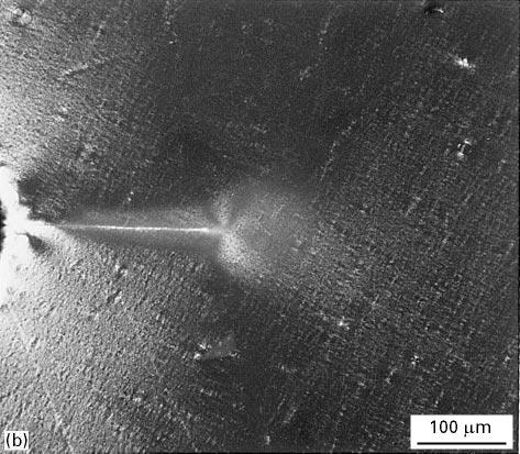 Figure 7 Optical micrograph of a thin section taken mid-plane and near the crack tip of a DN-4PB sample of DER332/DDS/PES (15%)/EXL-2611 (10%), viewed in (a) bright-field and (b) crosspolarized light.