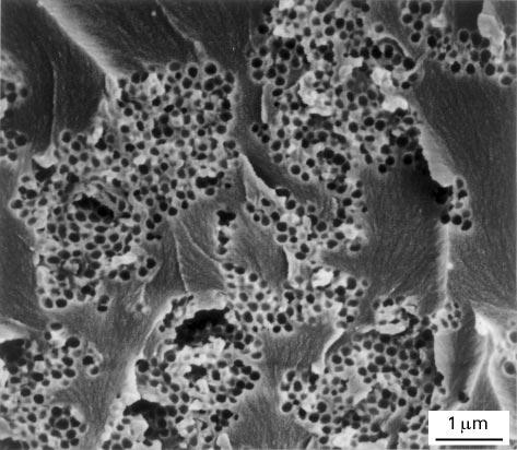 (10%),  ductility of a series of PES-modified epoxy without rubber particles was examined.
