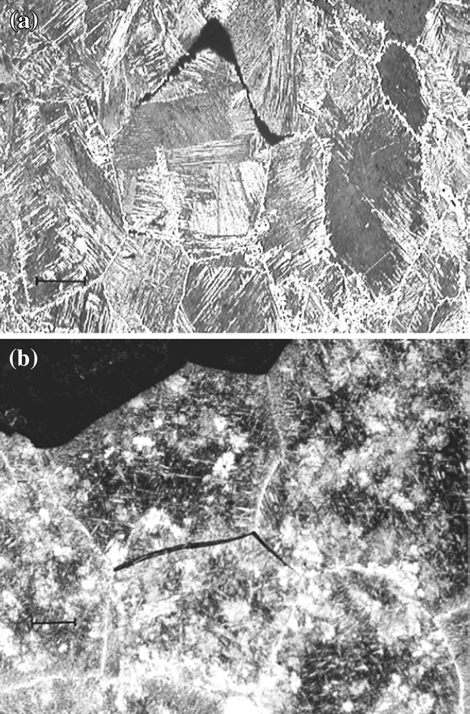 Fig. 4 (a) Steel C3: Optical micrograph reveals cracking, ostensibly within ferrite that formed on prior austenite grain boundaries. The specimen was solution treated and tested at 1073 K (800 C).