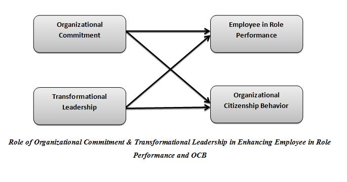 Transformational leadership& employee in role performance and OCB: Transformational leaders are those who have the ability and exhibit behaviors which make followers to think beyond limits and also