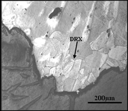 Fig.5.7 Dynamic recrystallisation (DRX) at the fracture surface for steel F ( cast in situ ) tested at 1150 o C.