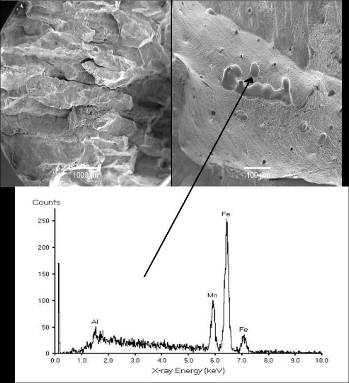 (b) Fig.5.11 Films of AlN found on the fracture surface of (a) machined as rolled and (b) machined as-cast steels tested at 700 o C. 5.
