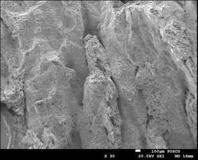 023%S) has more or longer AlN rods than in the 0.010%S steel. 100µm 10µm (a) (b) Fig. 6.12 Fracture surface in 0.023%S steel at 900 o C (SEM).